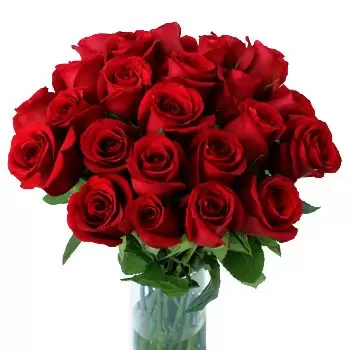 Ουζμπεκιστάν λουλούδια- 30 Κόκκινα Τριαντάφυλλα Μπουκέτο/ρύθμιση λουλουδιών