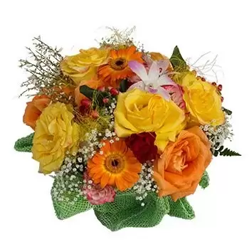 Μπόκα λουλούδια- Χαιρετίστε το πρωί Λουλούδι Παράδοση