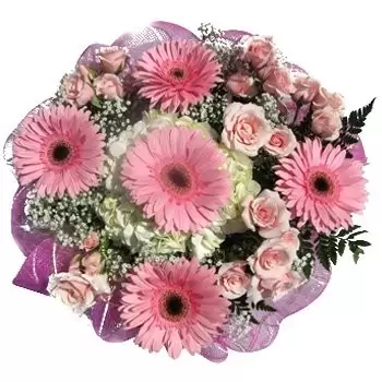 Floreşti (razdvojba) cvijeća- Lijepo u pastelnom buketu Cvijet Isporuke