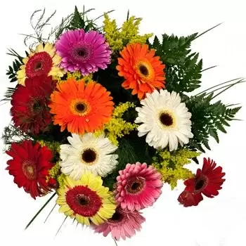 les Escaldes Blumen Florist- Gerbera Explosionsstrauß Bouquet/Blumenschmuck