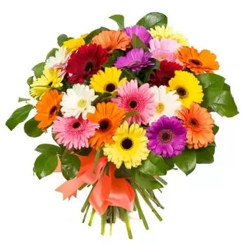 بائع زهور شارلوت أمالي- الفرح باقة الزهور