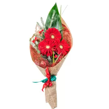 Țipala Blumen Florist- Roter Feiertag Blumen Lieferung