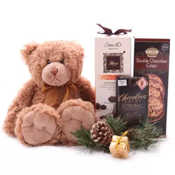 Cambodia flowers  -  Romantic Christmas Bear Set Delivery