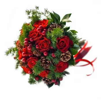 flores Nueva Colombia floristeria -  Rojos de invierno Ramos de  con entrega a domicilio