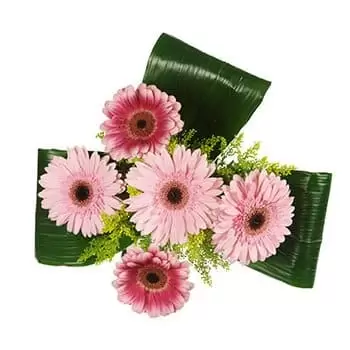 بائع زهور توشن- لمسة من اللون الوردي زهرة التسليم