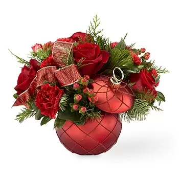 USA flowers  -  Amazing Holiday Carnations Flower Bouquet/Arrangement