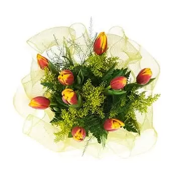 fleuriste fleurs de Couva/Tabaquite/Talparo- Souffle de printemps Bouquet/Arrangement floral