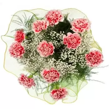 ดอกไม้ ชิกูกู - คาร์เนชั่นช่อดอกไม้ ดอกไม้ จัด ส่ง