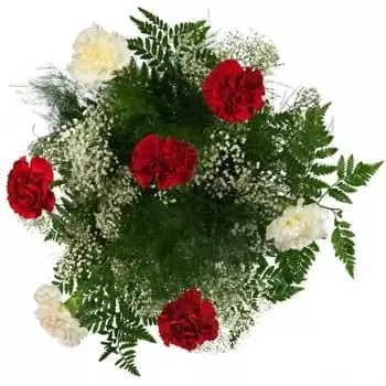 Γκαρκούρ λουλούδια- Μπουκέτο με σύννεφα γαρίφαλων Λουλούδι Παράδοση