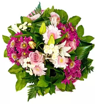 flores de Dobrogea Veche- Sensações Coloridas Flor Entrega