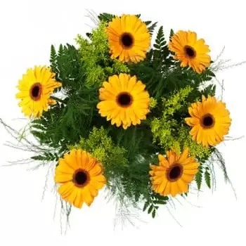 Jurby kukat- Darling Daises keltaisessa kimppussa Kukka Toimitus