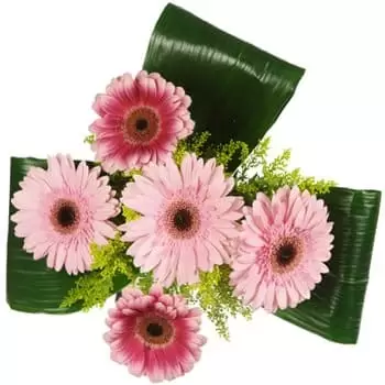 Ahuachapan blomster- Darling Daisies Bouquet Blomst Levering
