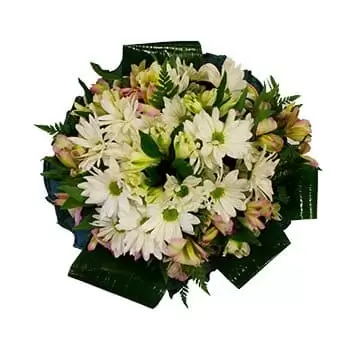 Gov-Altaj blomster- Drømmerbuket Blomst Levering