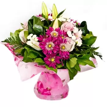 Pakhtakoron között-virágok- Magasztos szellő Virág Szállítás