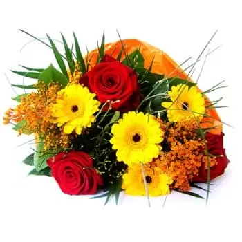Asgabat flowers  -  Friendship Flower Delivery