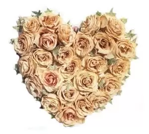 Balzar flowers  -  Tender Rose Heart Flower Delivery