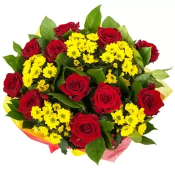 flores de Berdychiv- Esperança Flor Entrega