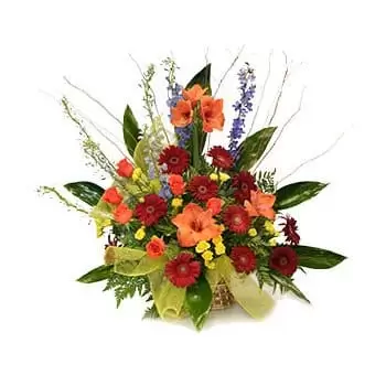 Bergen flori- Aprinderea Patimilor Buchet/aranjament floral
