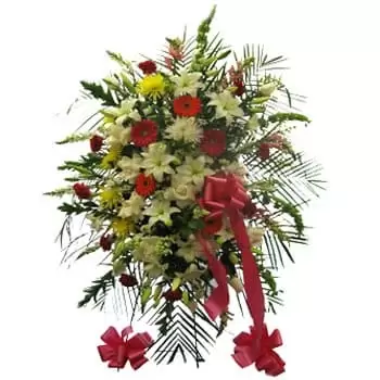 בבורוב פרחים- תצוגת פרחים זיכרון תוססת פרח משלוח