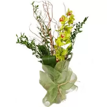 fleuriste fleurs de Groenland- Affichage de la tour d'orchidée Bouquet/Arrangement floral