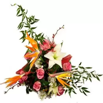 Abangares kvety- Kvetinový displej s exotickými pôžitkami Kvet Doručenie