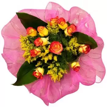 Μπεμαΐτσο λουλούδια- Τριαντάφυλλα Sunny Days Λουλούδι Παράδοση