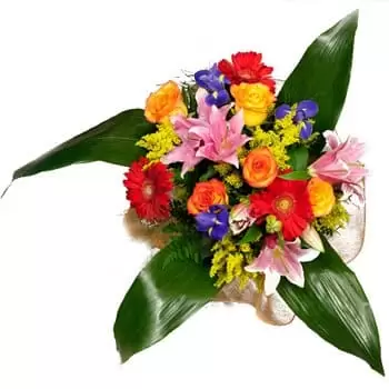 Benin flowers  -  Floral Fiesta Bouquet  Delivery