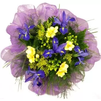 Ecuador flowers  -  Rays of Sunshine Bouquet  Delivery