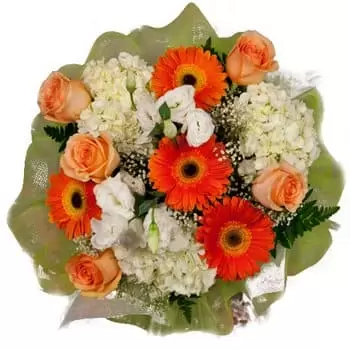 פורטו ריקו פרחים- זר שמש ושלג זר פרחים/סידור פרחים