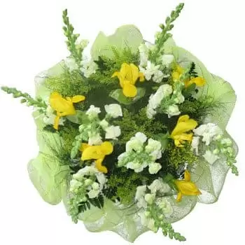 Belém blomster- Sunny Spring Bouquet Blomst buket/Arrangement