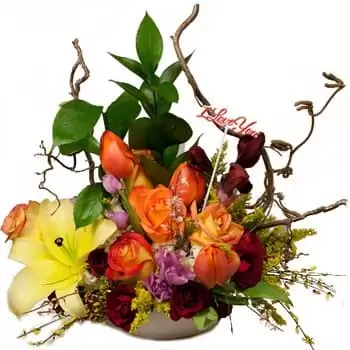 Auckland kwiaty- Coś innego wyświetlacza Bukiet ikiebana