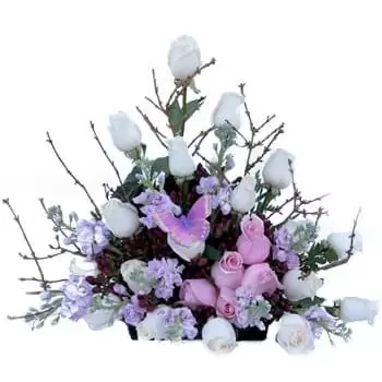 Brezova-Olesko Blumen Florist- Sagen Sie alles Bouquet Blumen Lieferung