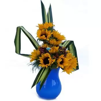 بائع زهور فيغا ألتا- باقة الشمس المشرقة والبساطة زهرة التسليم