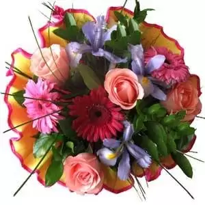 Mexico flowers  -  Gardener Delight Bouquet  Delivery