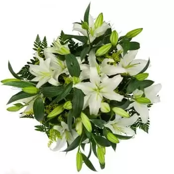 San Bartolome Perulapia blomster- Liljer og glede Blomst Levering