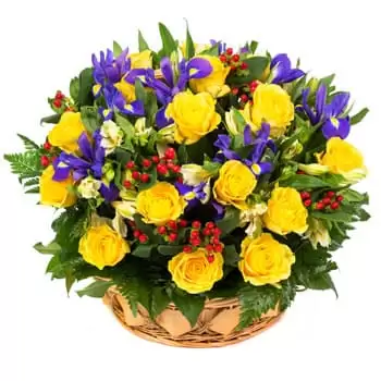 fiorista fiori di Hlinaia- ninnananna Fiore Consegna