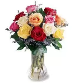 Laos flowers  -  Mixed Color Roses Flower Delivery