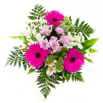 Balsenai flowers  -  Morning Magic Flower Delivery