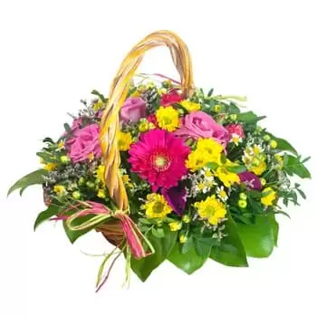 Bagdoniskis flowers  -  Mystic Beauty Flower Delivery