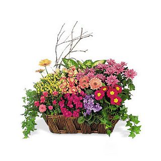 Bergen Blumen Florist- Ein Chor aus Blumenkorb Bouquet/Blumenschmuck