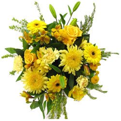 Bergen Blumen Florist- Schönheit der Natur Bouquet/Blumenschmuck