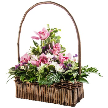 Bergen Blumen Florist- Freundlichkeit Bouquet/Blumenschmuck