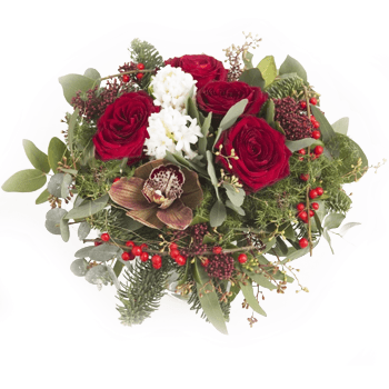 Bergen Blumen Florist- Weihnachten in voller Blüte Bouquet/Blumenschmuck