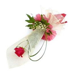 Bergen Blumen Florist- Einzelne Rose Bouquet/Blumenschmuck