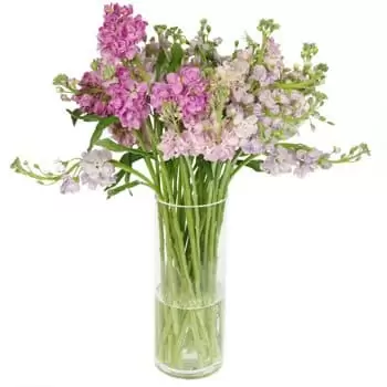 Tumencogt λουλούδια- Μπουκέτο με παστέλ σύννεφο Λουλούδι Παράδοση
