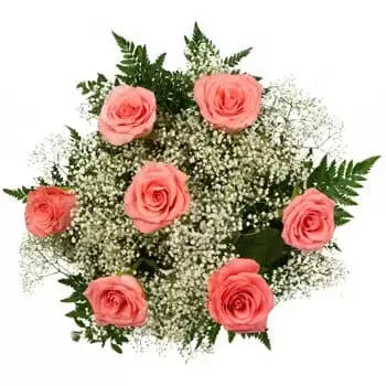 BAcsborsod kukat- Täydelliset vaaleanpunaiset ruusut Kukka Toimitus
