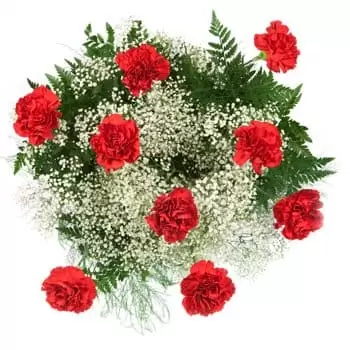 بائع زهور كوفون رورال- قرنفل أحمر مثالي زهرة التسليم