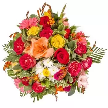 Gibraltar Blumen Florist- Rote Kontraste Bouquet/Blumenschmuck