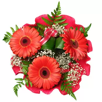 Bolduresti λουλούδια- Κόκκινο Ρομαντικό Λουλούδι Παράδοση
