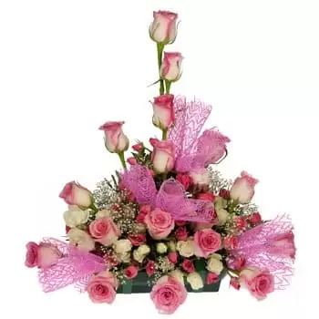 Awah Siby blomster- Rose Explosion Centerpiece Blomst Levering